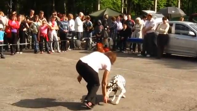 Фристайл Мария и Дэли.avi