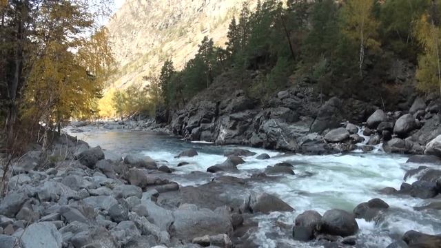 67ef96cefff04e60b4c6e7a1b7b30c22