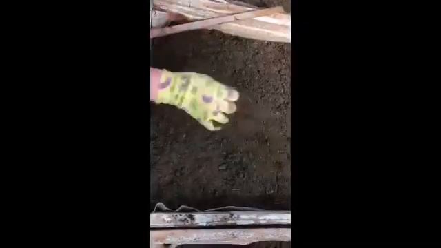 Агрономика. Хаппыыста олордуута.