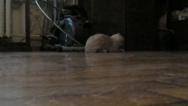 058312419f61306e1189068abdf51b93