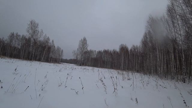 Охота на тетеревов на лунках. Закрытие сезона. Black Grouse Hunting