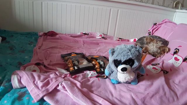 35cf9e64126cc3136c33e0d74f25cefe