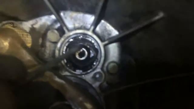 Творческий Взгляд