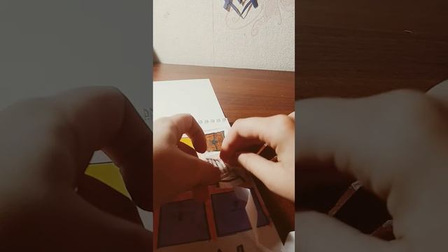 17 ноября 2023 г.