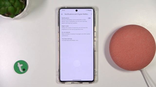How To Enable / Disable Notifications On Google Nest Mini?