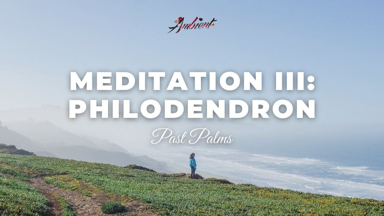 Past Palms - Meditation III: Philodendron [downtempo Vocal Ambient]