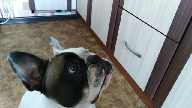 45616e46b2d16b786243228301c3c12a