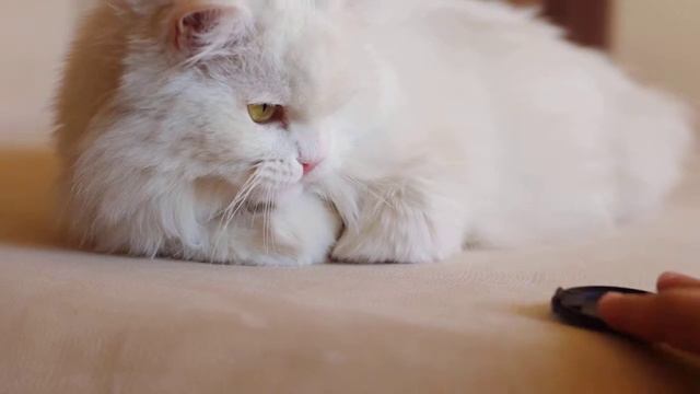 58557028028f2476e607fe8e5add4cf9