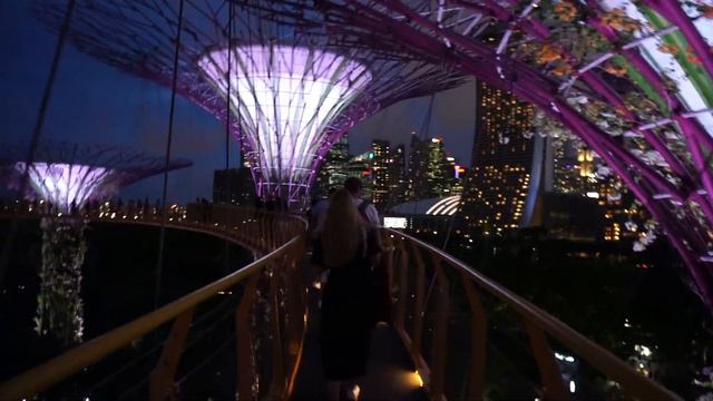 Сингапур. Сады у Залива Gardens by the Bay.