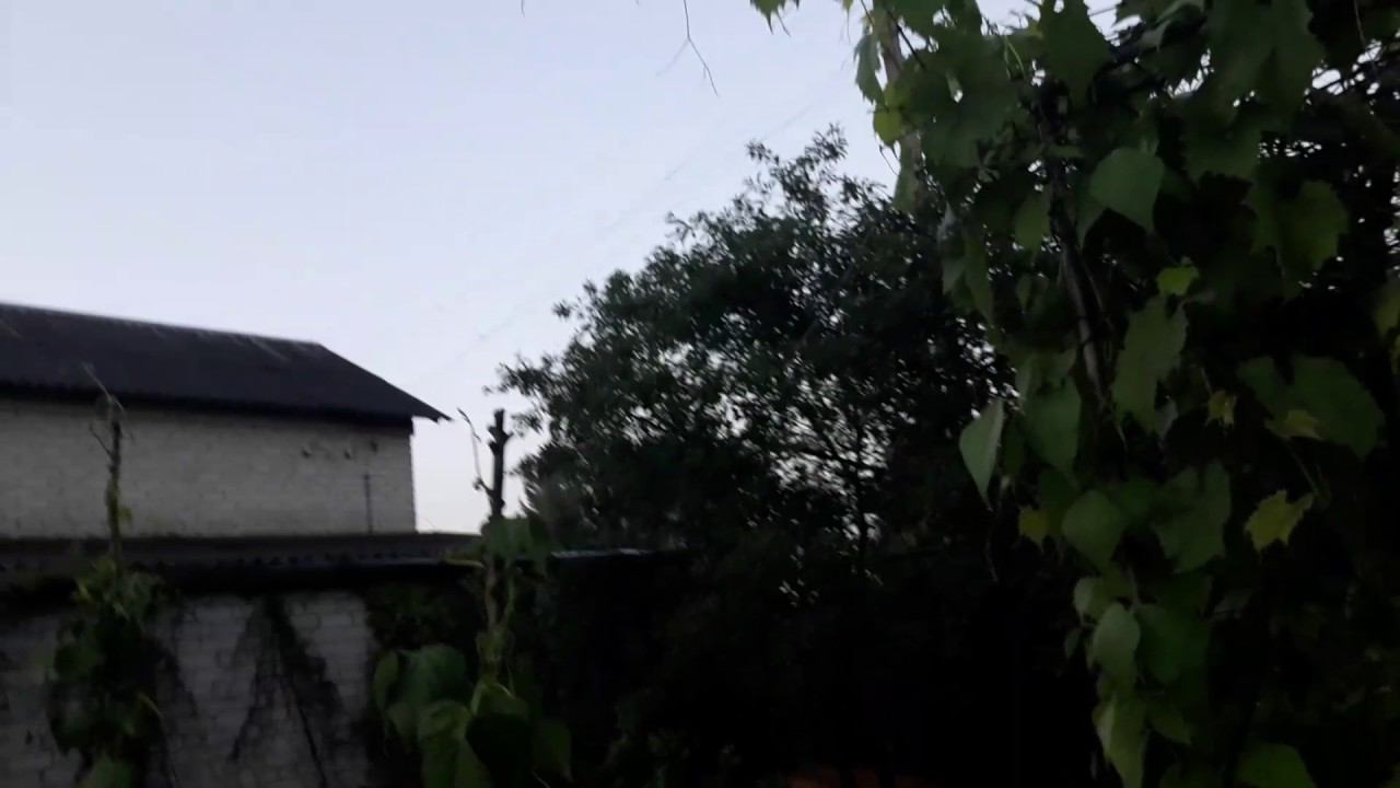 Утки улетают 16.07.2017 - не дождались лета