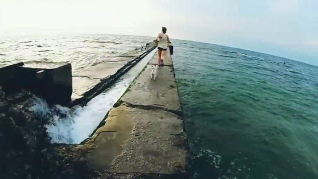 Утренняя пробежка к морю 06.06.2019