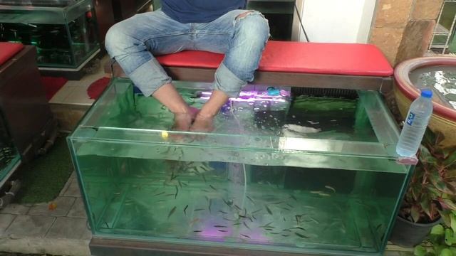 E44dbeb4b86976211f0893f4f8bb6a00