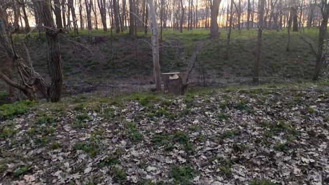 Весна нынче поздняя/Измаил 2021 /