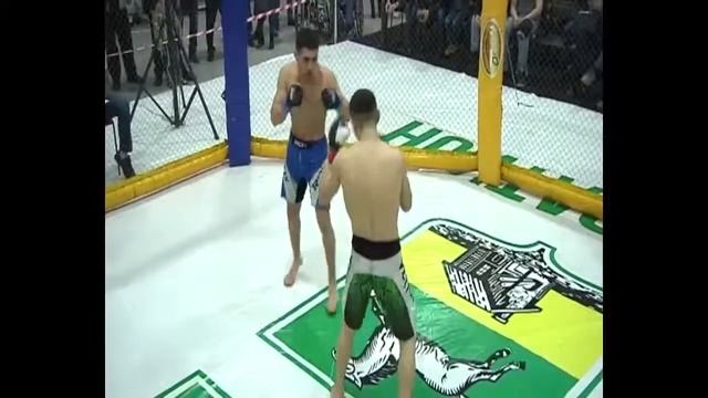 Турнир по панкратиону Герои арены 5