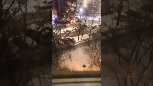 #снежок #новыйгод #шортс #хочуврек #друзья #мем #холодос