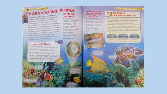 Читаем дома. Занимательно о науках  обзор серии книг Детская энциклопедия 6