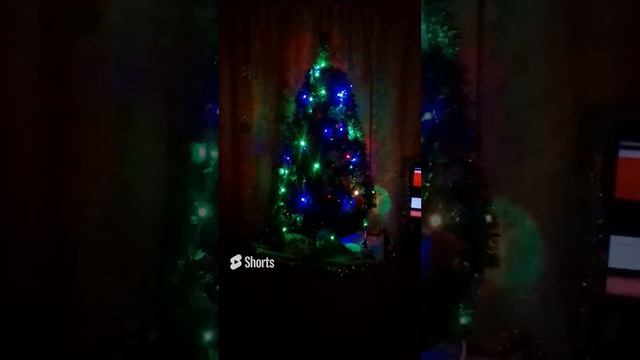 Новый 2024 год!!!🥳🐲🐉🌲🎄🎉🎆🎇