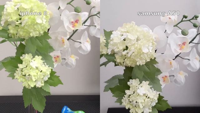 SAMSUNG GALAXY A50 Vs IPhone 8  MAIN CAMERA COMPARISON