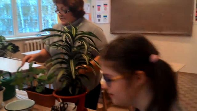 Уход за цветами