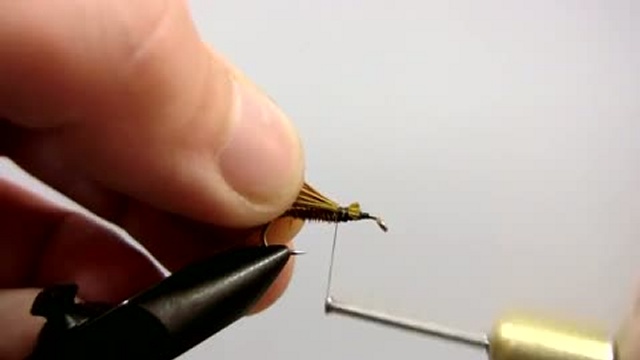 Efbb2da32d9bb29eeed8d9d82347ab38