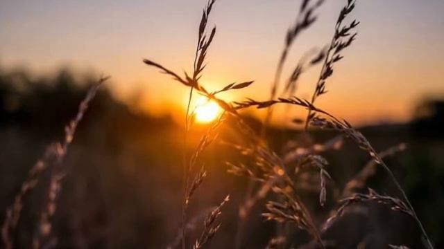 Caravelli & His Orchestra - Plein Soleil