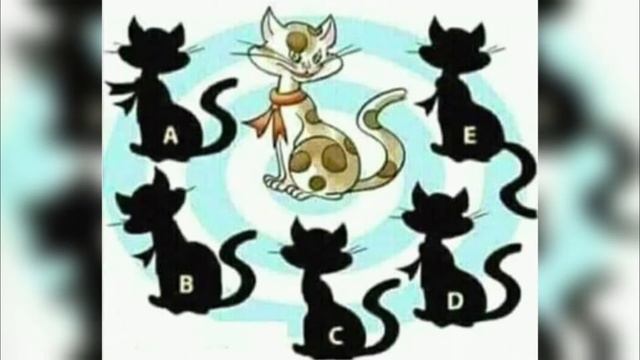 Головоломка. Найдите тень предмета #головоломка #логические_задачи #тренировка_ума