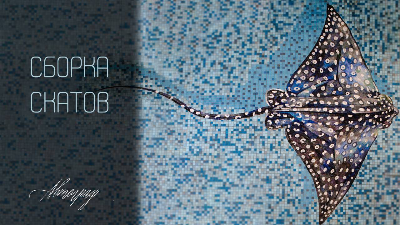 Сборка скатов