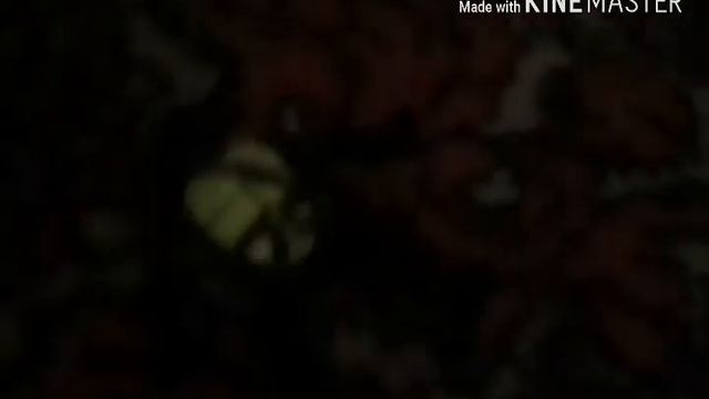 24759216e6e02f5f99a28ab817415fb9