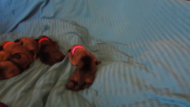 8809bbc9819f207153e2901771accb53