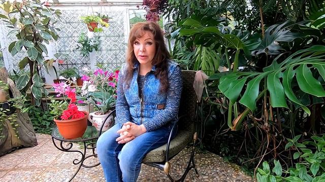 8e61c2c883b00b0a4e10121079089011