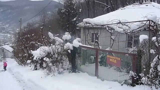 Жизнь в деревне // День за днём / Прочность навеса для кур