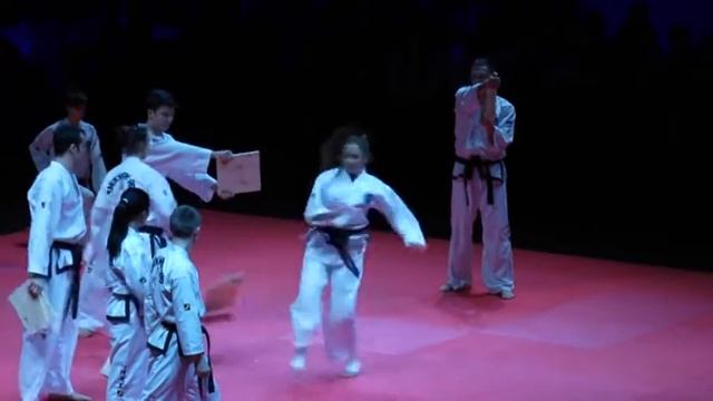 Открытые игры боевых искусств 2016