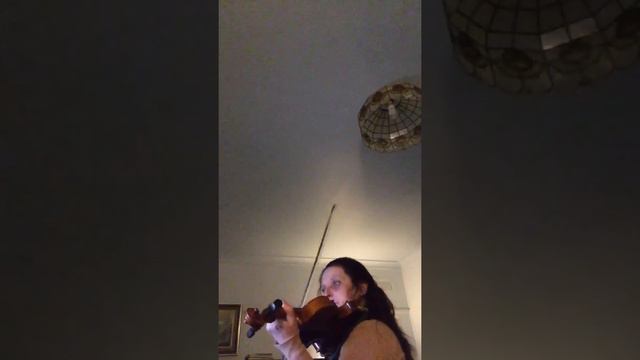 Adagio Tomaso Albinoni Practiced By Heidi Gold