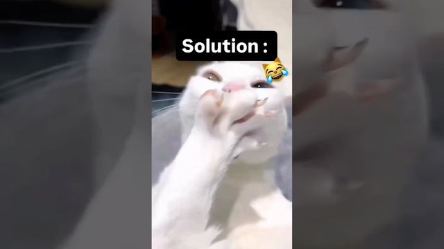 У кого так же?😂