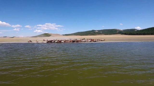 A7d3c323587250e4d3366d0e6a4c704a