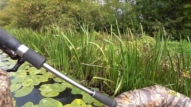 0eb663014d924a965e24ab67695d4a39