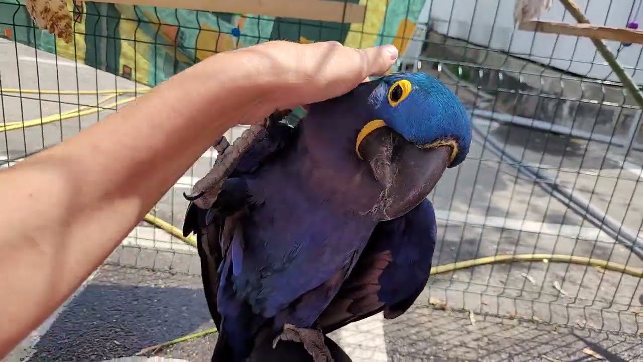 288c7adcf2e620dfc944362039359c85