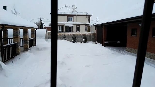 Зимний забег кошечки