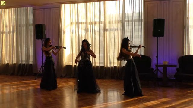 Электро трио Violin Group DOLLS (скрипки и виолончель) - встреча гостей, S.H.E.L.K