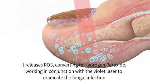 5058244f653b8a48d9771e882cba9fc3