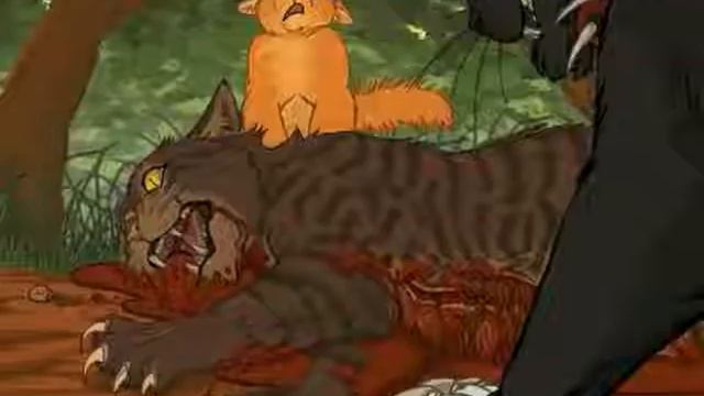 •Звездоцап•КВ•Windfal