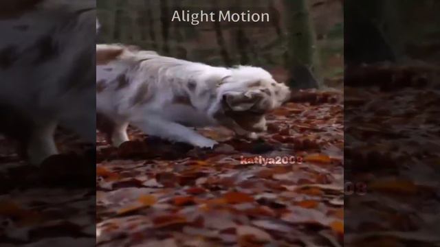 1148dbac0af981b2b4902258451f052a