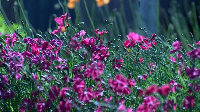 Ты самый счастливый человек на свете!