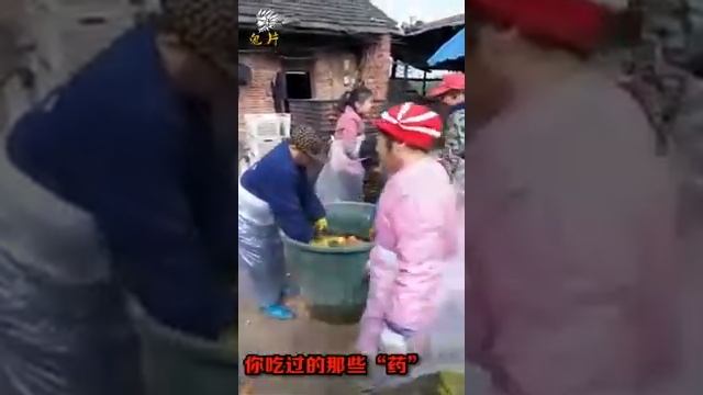 Вот из чего у людей тошнота и рвота