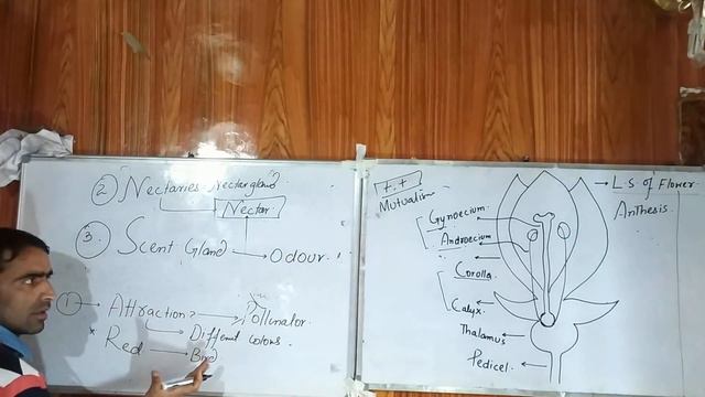 0a56c1ce9c860aed96c547efde944159