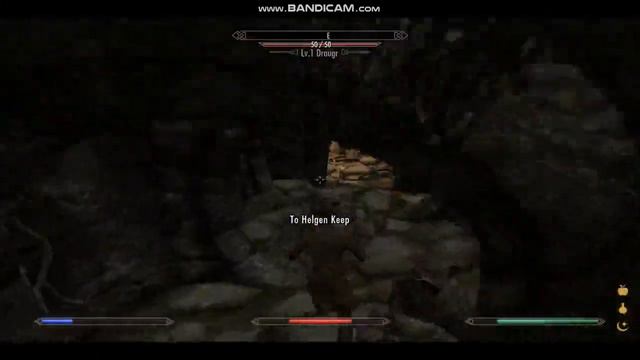This Is What A Skyrim Speedmult Speedrun Would Look Like.