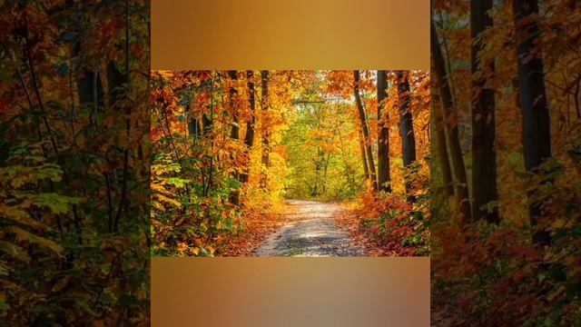 В коридоре затмений...