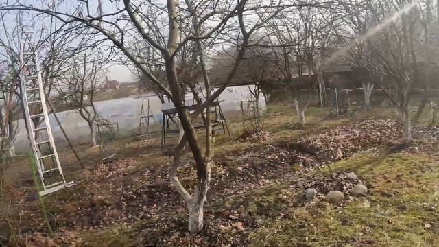 Аккумуляторная пила AFABEITA в деле! Помощник для сада!