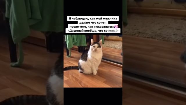 Да делай вообще, что хочешь