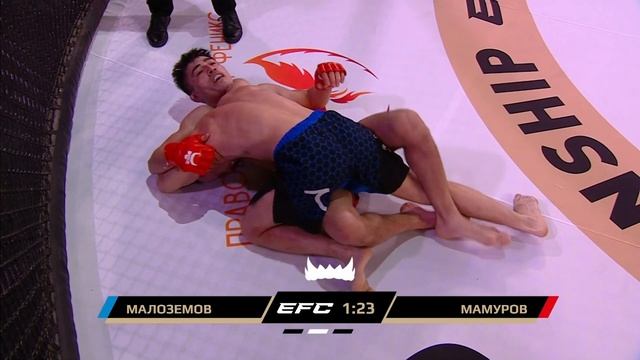 EFC 31 | ЛЕОНИД МАЛОЗЕМОВ против АБРОРА МАМУРОВА | ПОЛНЫЙ БОЙ